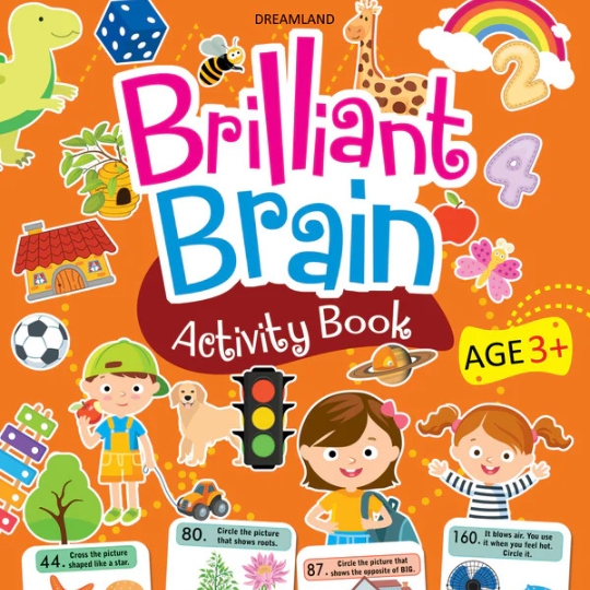 Brilliant Brain Activity Book 3+